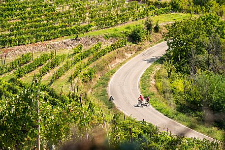 mountain bike tour in Langhe and Monferrato