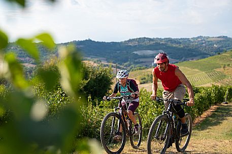 mountain bike tour in Langhe and Monferrato