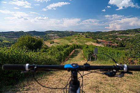 mountain bike tour in Langhe and Monferrato