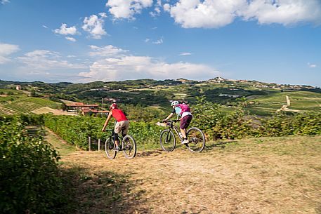 mountain bike tour in Langhe and Monferrato