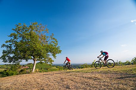 mountain bike tour in Langhe and Monferrato