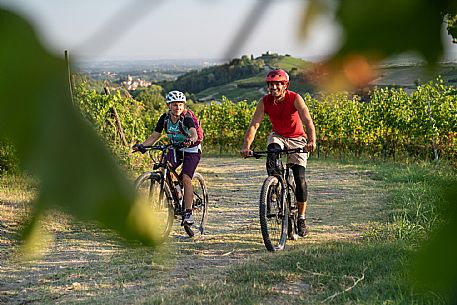 mountain bike tour in Langhe and Monferrato