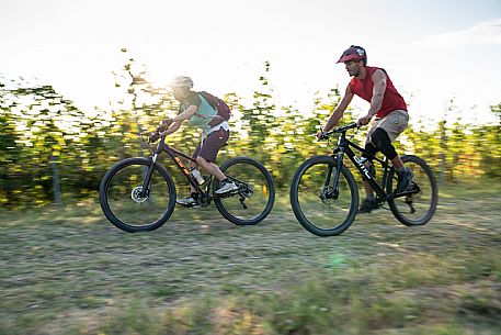 mountain bike tour in Langhe and Monferrato