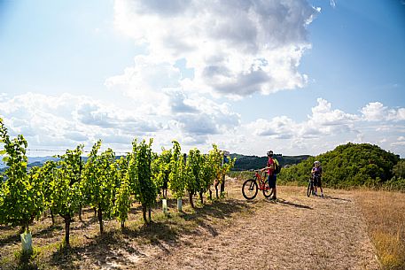 mountain bike tour in Langhe and Monferrato