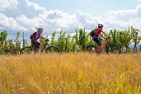 mountain bike tour in Langhe and Monferrato