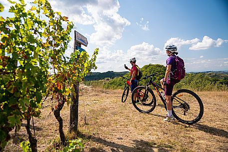 mountain bike tour in Langhe and Monferrato