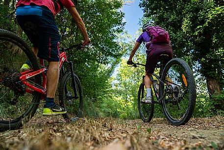 mountain bike tour in Langhe and Monferrato