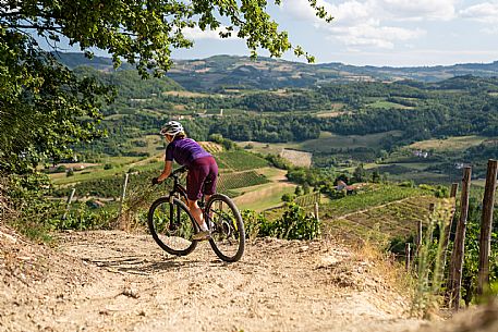 mountain bike tour in Langhe and Monferrato