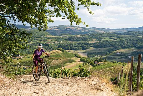 mountain bike tour in Langhe and Monferrato