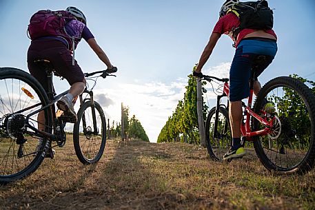 mountain bike tour in Langhe and Monferrato