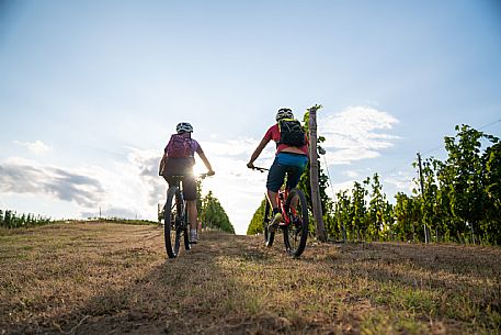 mountain bike tour in Langhe and Monferrato