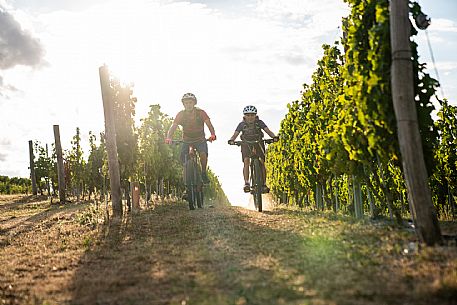 mountain bike tour in Langhe and Monferrato