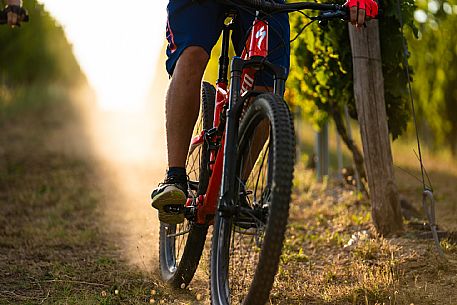 mountain bike tour in Langhe and Monferrato