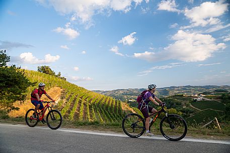 mountain bike tour in Langhe and Monferrato