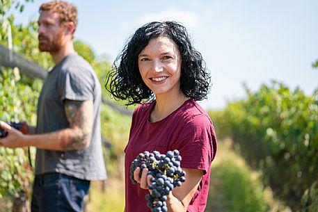 vendemmia turistica in Langhe Monferrato Roero