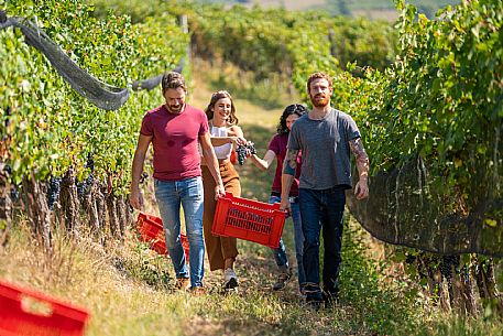 vendemmia turistica in Langhe Monferrato Roero