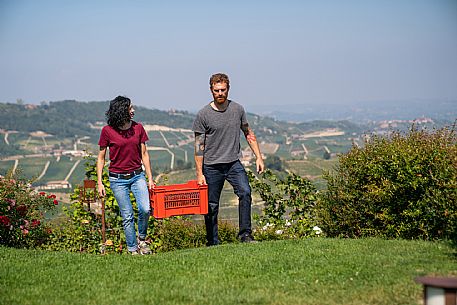 vendemmia turistica in Langhe Monferrato Roero