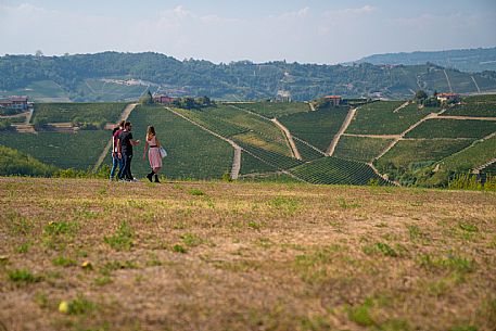 Landscape in Langhe Monferrato Roero