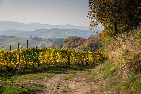 Autumn Landscape