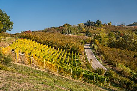 Autumn Landscape