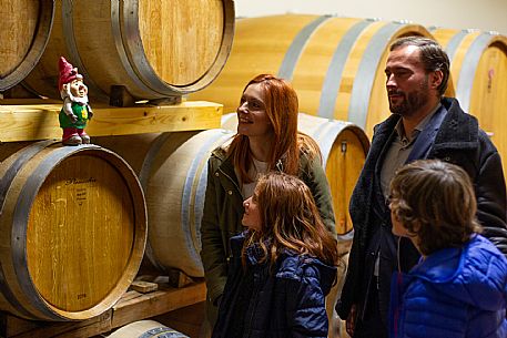 family experience in the winery 