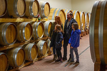 family experience in the winery 