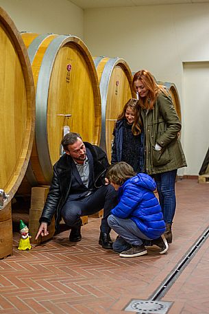 family experience in the winery 