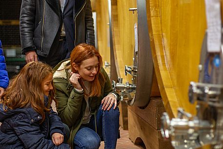 family experience in the winery 