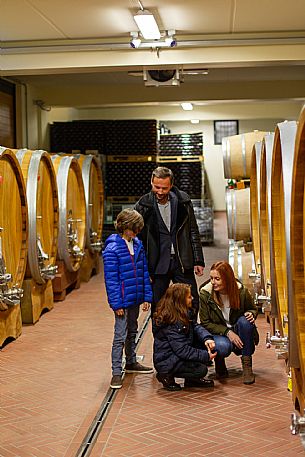 family experience in the winery 