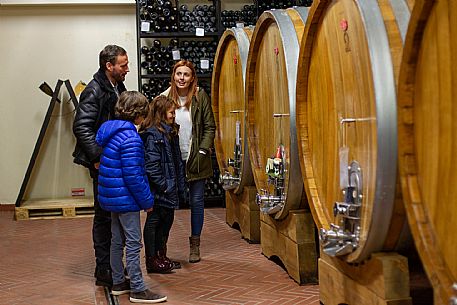 family experience in the winery 