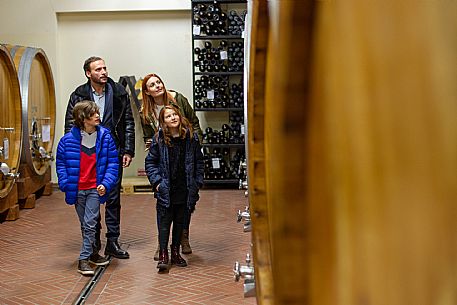 family experience in the winery 