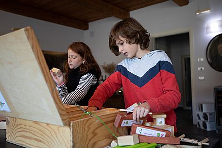 family experience in the winery 