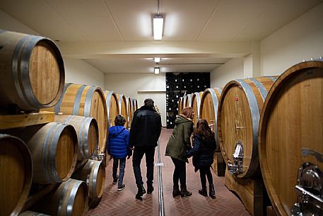 family experience in the winery 