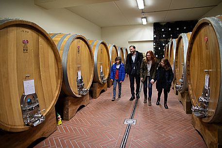 family experience in the winery 