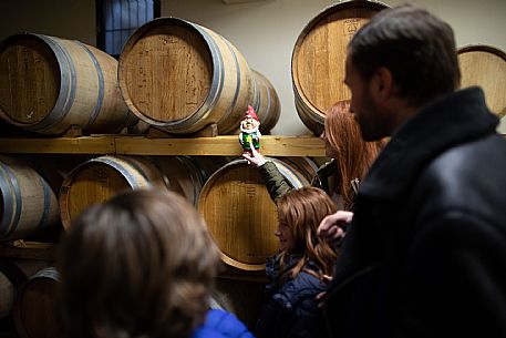 family experience in the winery 