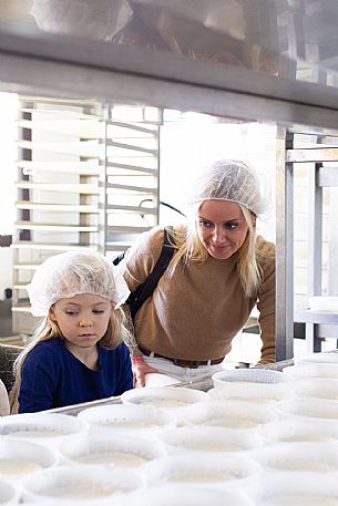 Cheese Factory Family Experience