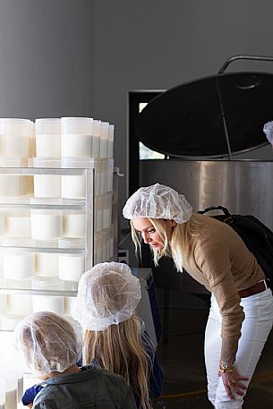 Cheese Factory Family Experience