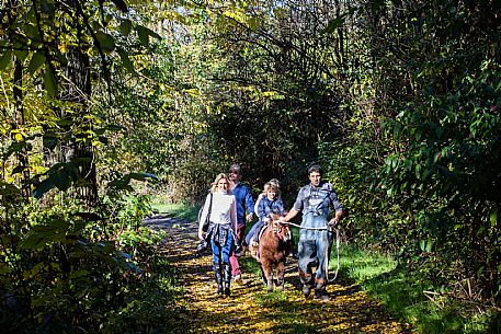 Horse Riding Family Experience