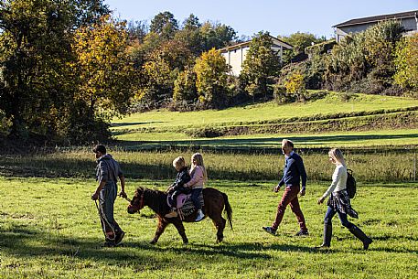 Horse Riding Family Experience