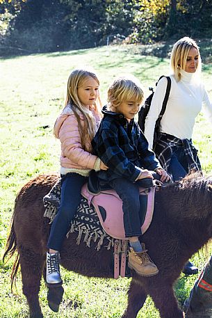 Horse Riding Family Experience