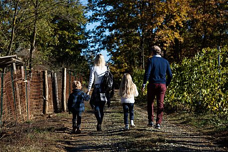 Horse Riding Family Experience