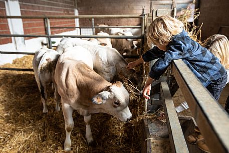 Farm Family Experience