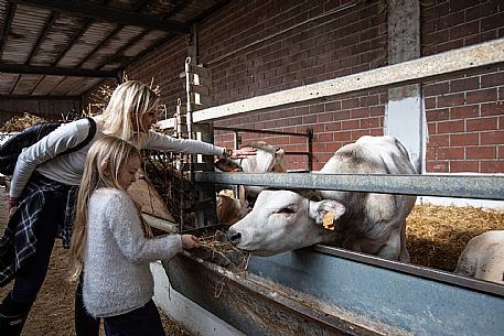 Farm Family Experience