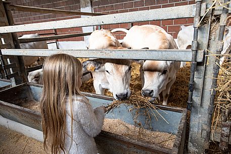 Farm Family Experience