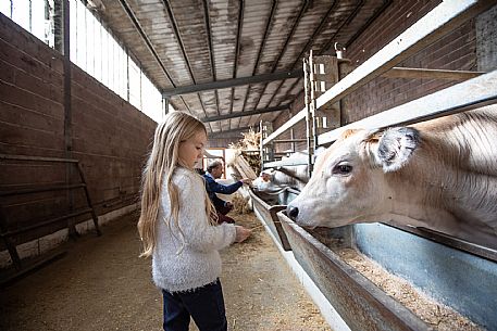 Farm Family Experience