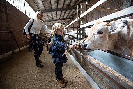 Farm Family Experience