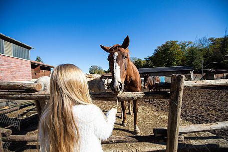 Farm Family Experience