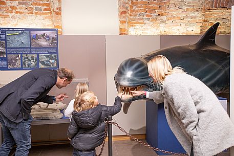 Family Experience - Visit to Fossil Museum