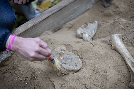 Family Outings - Asti Paleontological Park