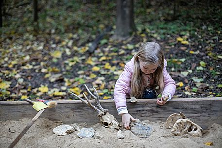 Family Outings - Asti Paleontological Park